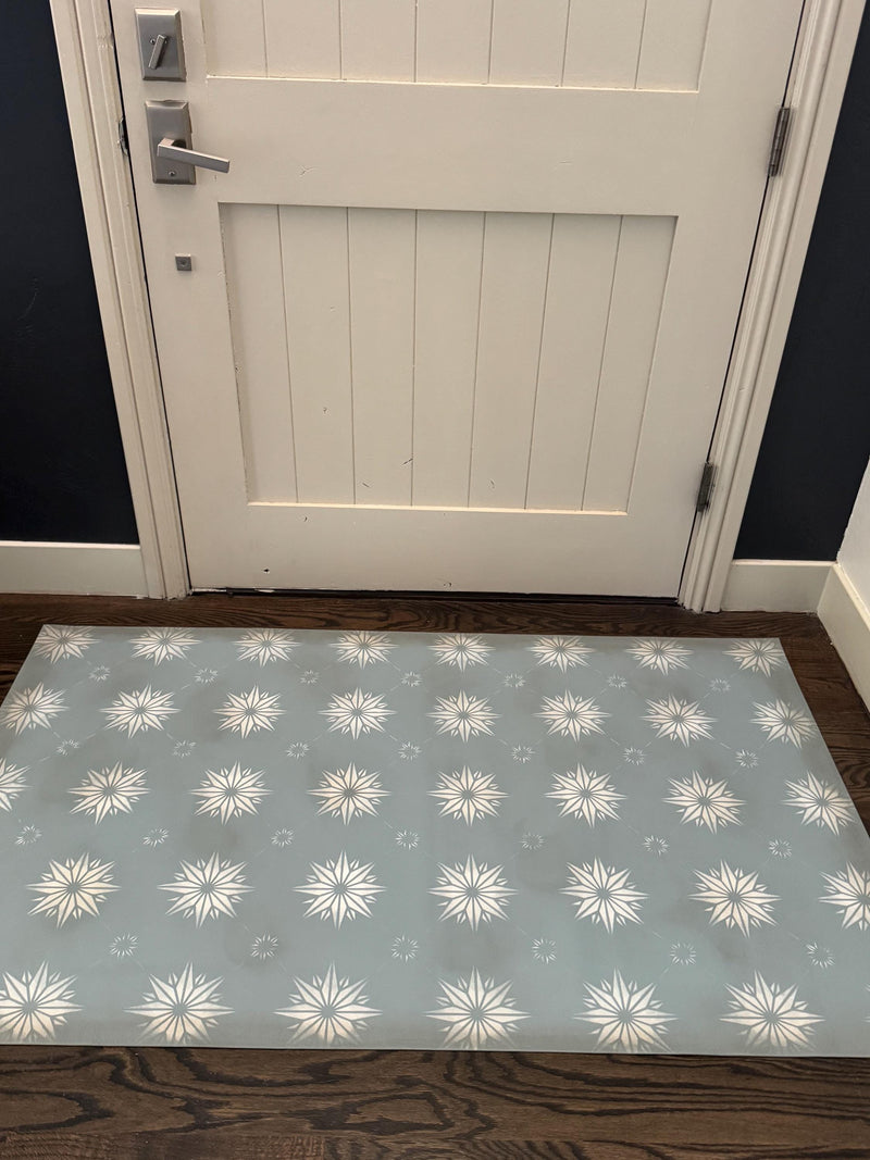 Aster in Moody Blue