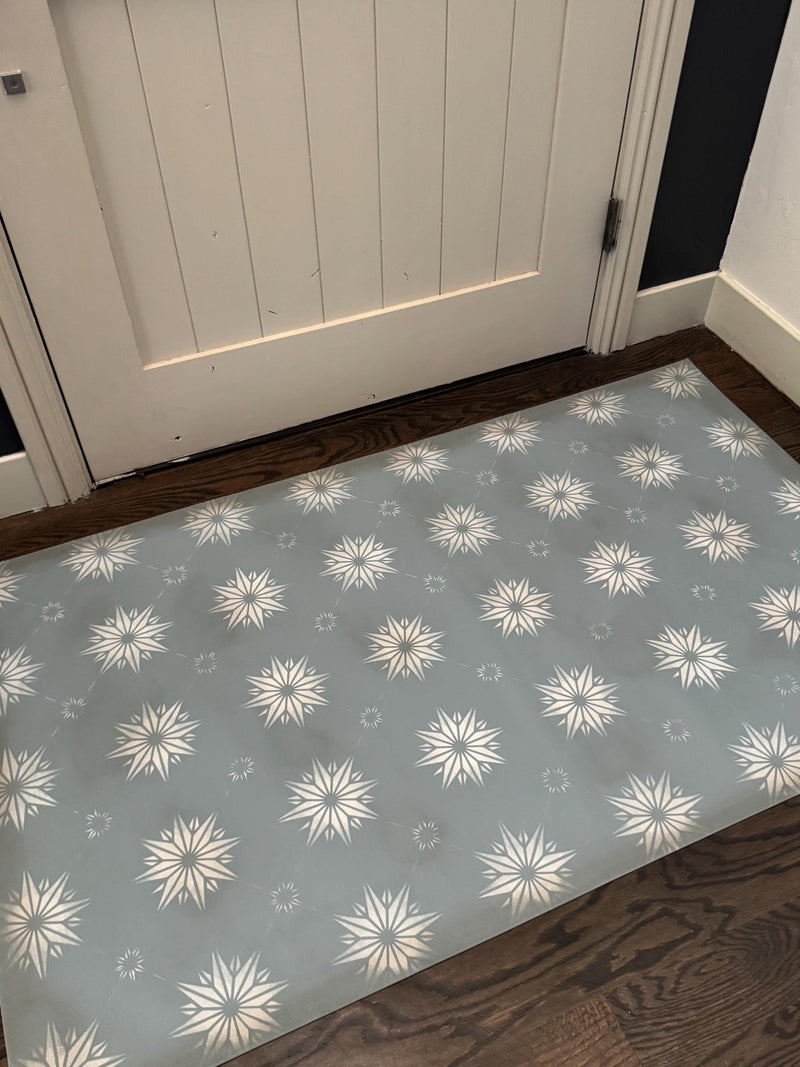 Aster in Moody Blue
